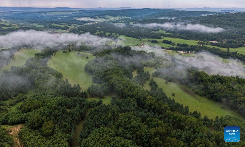 This aerial drone photo taken on Aug. 1, 2026 shows the scenery of Bashang grassland in Weichang Man and Mongolian Autonomous County in Chengde City, north China's Hebei Province. (Photo by Liu Mancang/Xinhua)