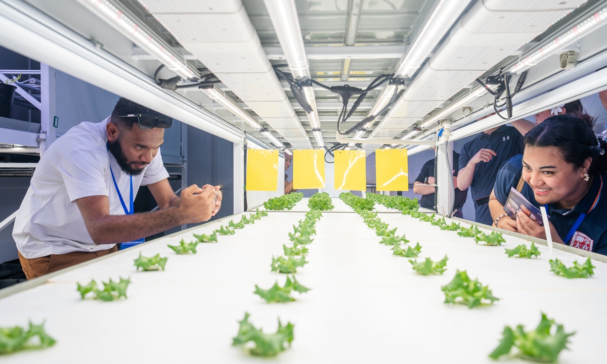 Students from Pacific island countries tour a modern farm in Liaocheng, East China's Shandong Province, in July 2026 Photo: Courtesy of Liaocheng University