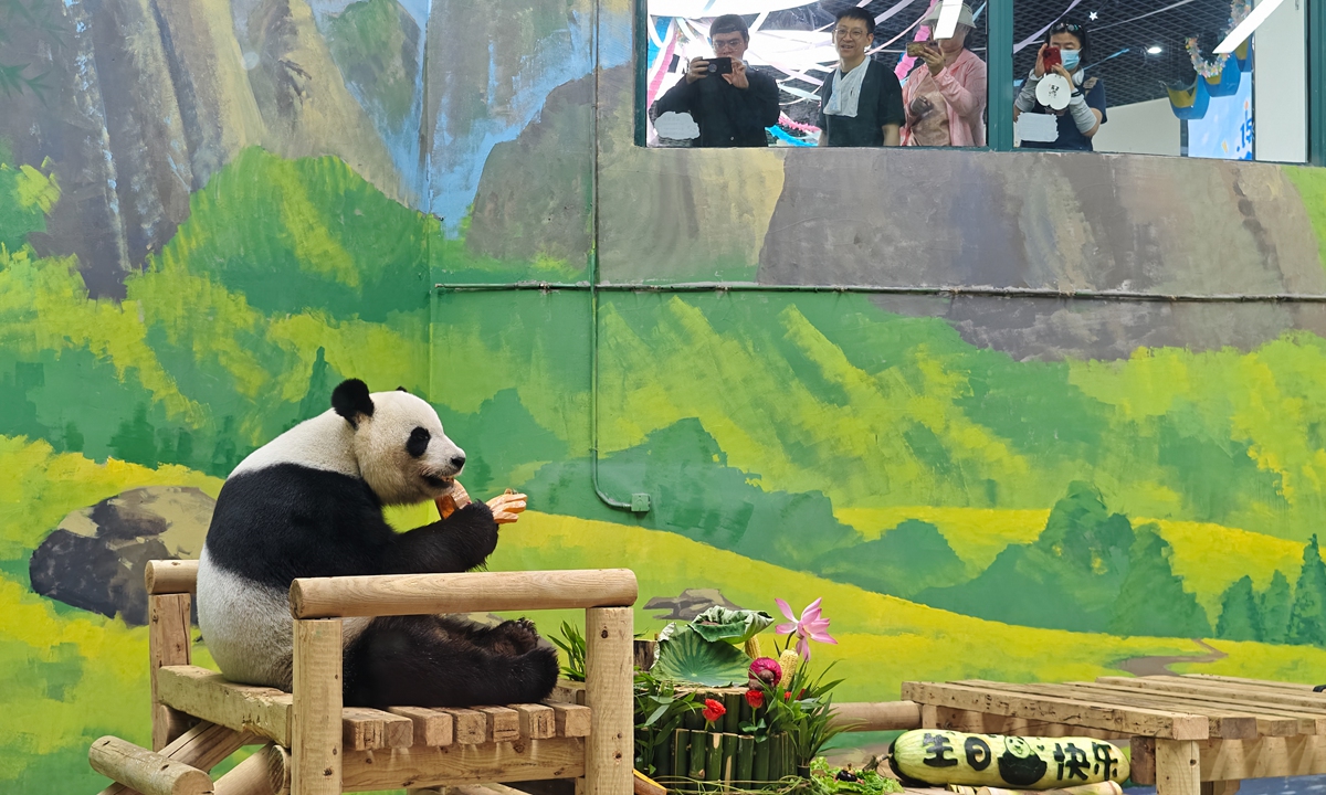 Giant panda Qiao Qiao enjoys birthday treats for its 15th birthday at a resort in Tianjin on August 4, 2026. Fans affectionately nickname the energetic panda Master Qiao and Uncle Qiao.