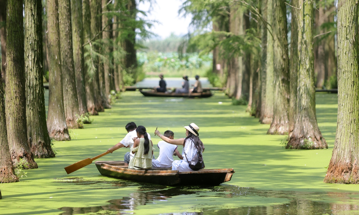 Tourists enjoy a cool summer getaway by boat in the water forest of Luyang Lake Wetland Park, Yangzhou, East China's Jiangsu Province, on August 5, 2026. Photo: VCG