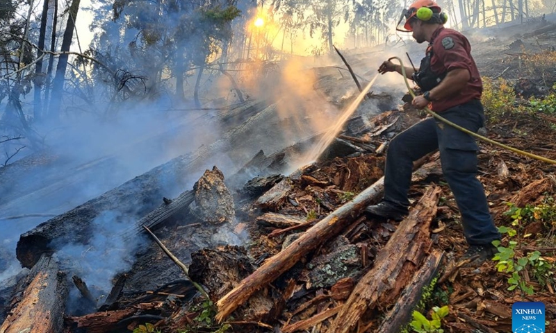 This photo provided by the BC Wildfire Service on Aug. 8, 2026 shows a firefighter putting out a wildfire near Vernon in the Southern Interior of British Columbia, Canada. The western Canadian province of British Columbia (B.C.) declared a provincial state of emergency on Saturday as fast-spreading wildfires threatened several communities. (BC Wildfire Service/Handout via Xinhua)