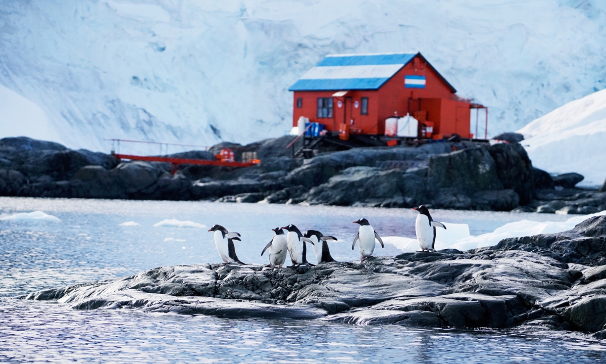 Scenery of Antarctica Photo: Courtesy of Zhang Xinyuan