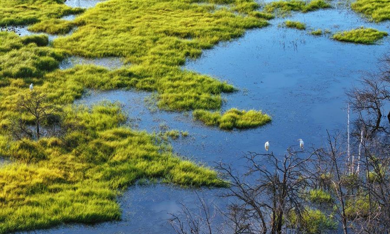globaltimes.cn - Xinhua - China's landmark Ecological and Environmental Code takes effect to drive green modernization