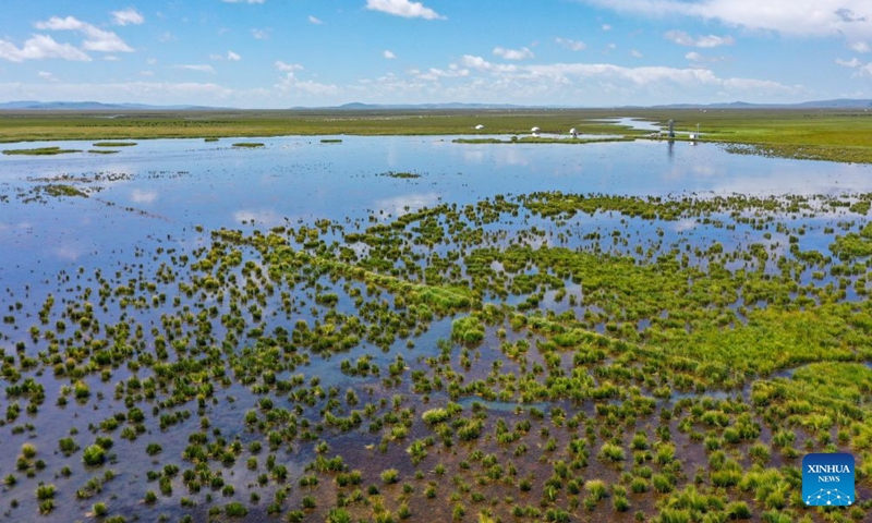 An aerial drone photo taken on Aug. 22, 2023 shows a lake in Zoige County of Aba Tibetan-Qiang Autonomous Prefecture, southwest China's Sichuan Province. The Zoige Wetland is mostly located in Aba Tibetan-Qiang Autonomous Prefecture in southwest China's Sichuan Province. It is an important water source conservation area in the upper reaches of the Yellow River. In recent years, local authorities have carried out ecological restoration projects, including riverbank protection along the Yellow River, restoration of mining areas, grassland desertification control and wetland restoration. So far, a total area of 232,500 hectares has been restored. (Photo: Xinhua)