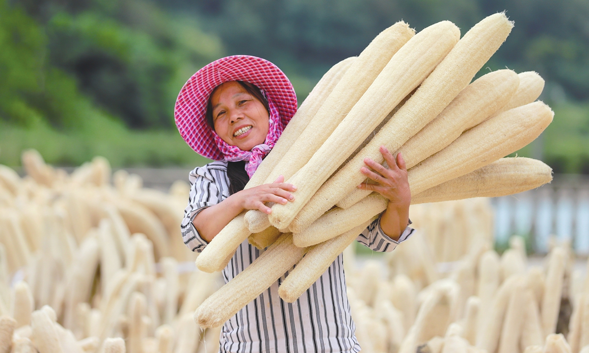 A farmer dries freshly harvested loofah sponges in Fulong township, Jiujiang, East China's Jiangxi Province. 
File photo: VCG