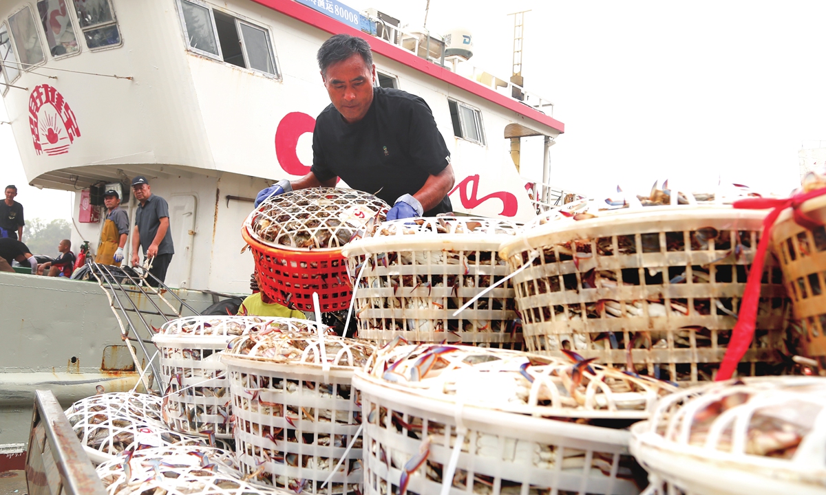 Fishermen carry baskets of swimming crabs ashore at a dock in Yuhuan, East China's Zhejiang Province on August 13, 2026. Following sorting and weighing, the crabs will be shipped via logistics services to markets across the country. Photo: VCG