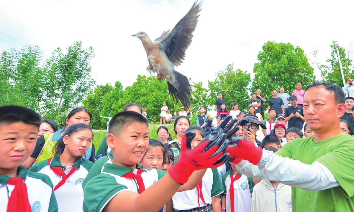 A primary school student and a volunteer from a local wildlife protection association release a rescued bird at the estuary of the Baisha River in Qingdao, East China's Shandong Province on August 13, 2026. Ahead of the upcoming National Ecology Day on August 15, related legal awareness campaigns are being held in the wetland area. Photo: VCG