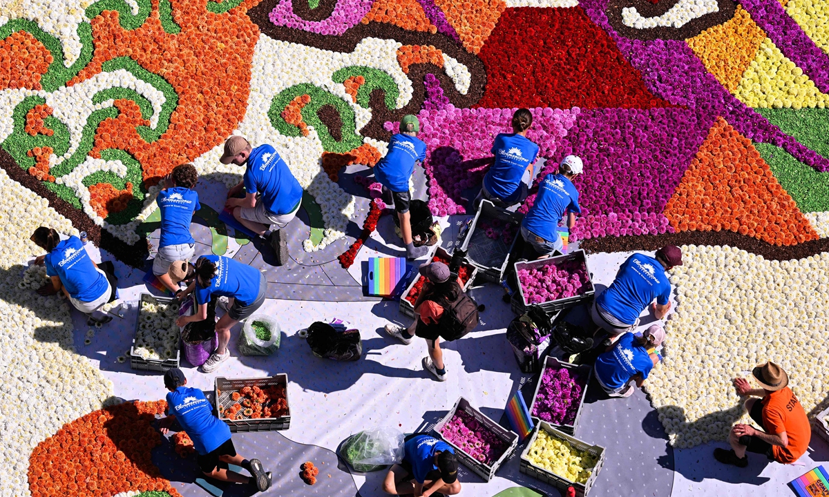 Volunteers arrange flowers to make a flower carpet at the Grand-Place during the 24th edition of the Brussels' Flower Carpet show in Brussels, Belgium on August 13, 2026. Photo: VCG