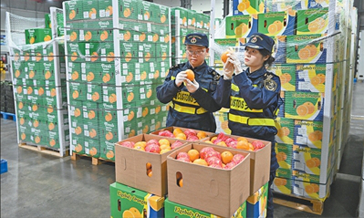 Customs officers inspect fresh oranges imported from Egypt at the Waigaoqiao port area in Shanghai on May 1, 2026. File Photo 