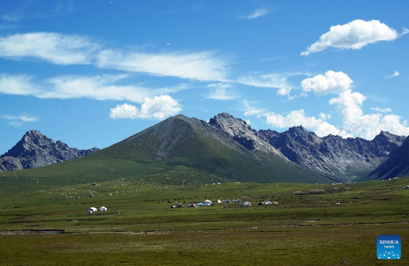 This photo taken on Aug. 13, 2026 shows a view of the Nianbaoyuze national geology park within the Sanjiangyuan national nature reserve in Jiuzhi County, Golog Tibetan Autonomous Prefecture, northwest China's Qinghai Province. (Photo by Liang Zhiqiang/Xinhua)