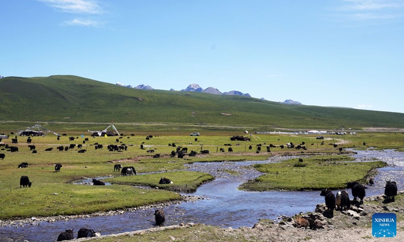 This photo taken on Aug. 13, 2026 shows a view of the Nianbaoyuze national geology park within the Sanjiangyuan national nature reserve in Jiuzhi County, Golog Tibetan Autonomous Prefecture, northwest China's Qinghai Province. (Photo by Liang Zhiqiang/Xinhua)