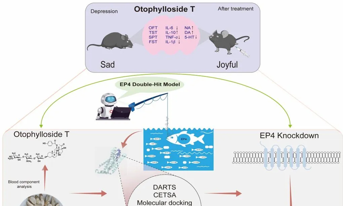 An illustration of the research. Photo: Screenshot from the website