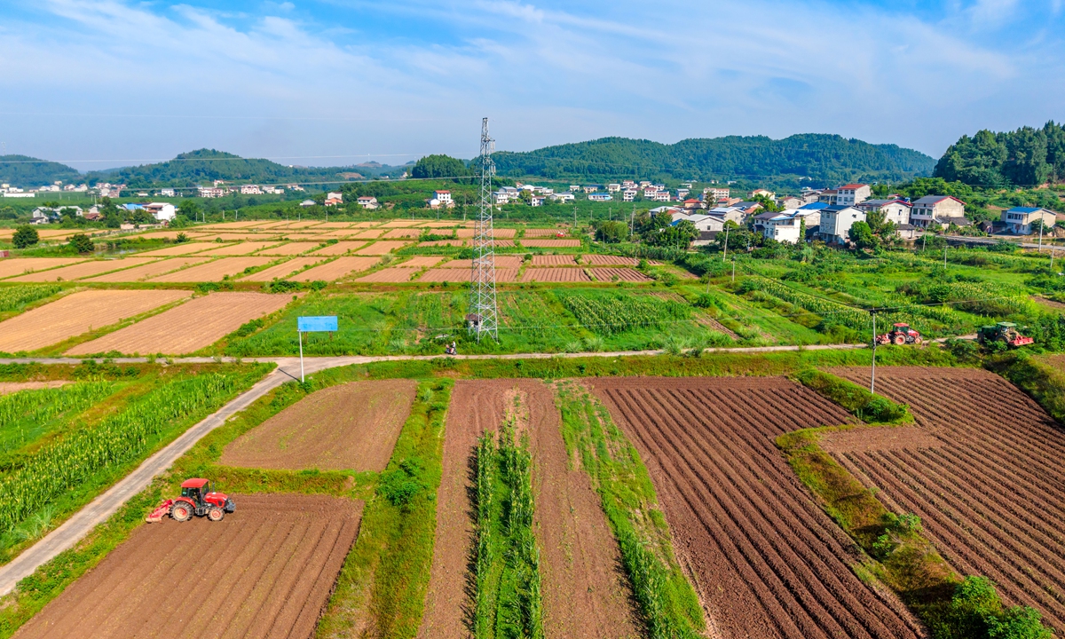 A farmer plows a field in a county in Ziyang, Southwest China's Sichuan Province, on August 16, 2026. After prolonged high temperatures caused corn to wither, farmers are rushing to replant soybeans during the sowing season. Photo: VCG