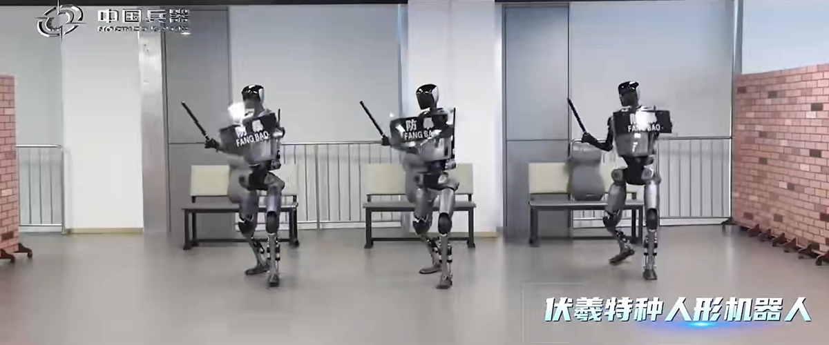 The Fuxi humanoid robots