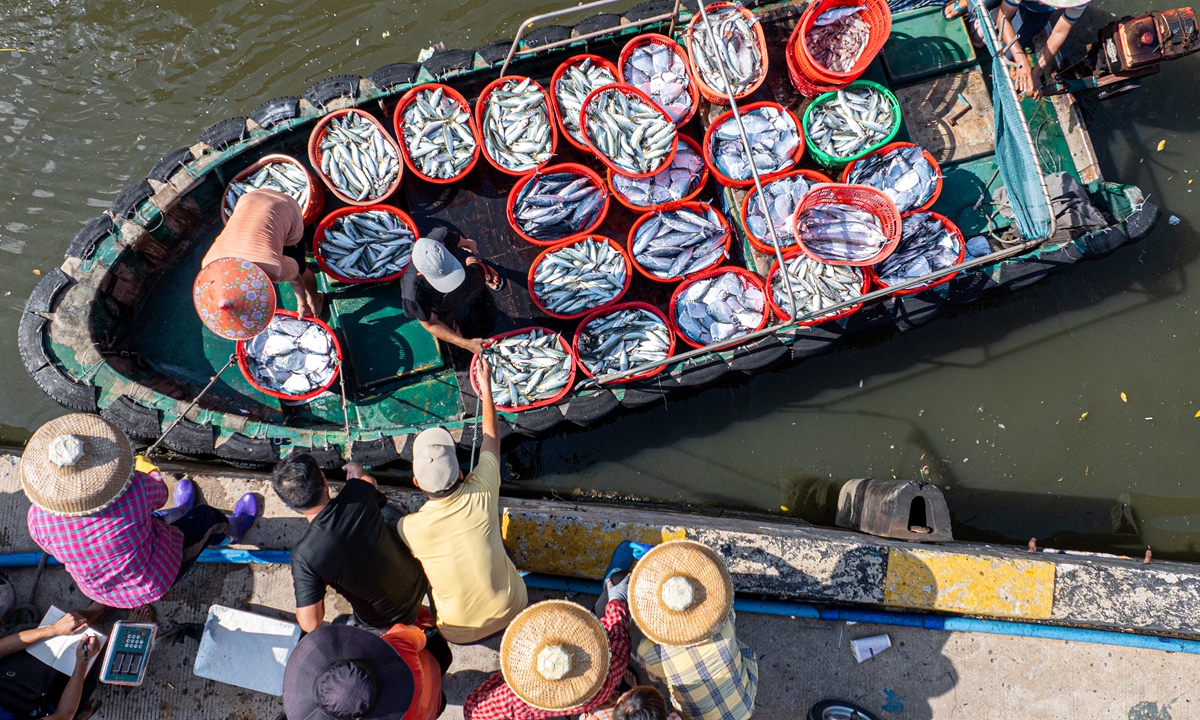 Fishermen unload the first catches of the new fishing season at Tanmen fishing port in Qionghai, South China's Hainan Province, on August 17, 2026. The annual seasonal ban, which ran from May 1 to August 16, is intended to protect fishery stocks by restricting commercial fishing across the designated waters. Photo: VCG
