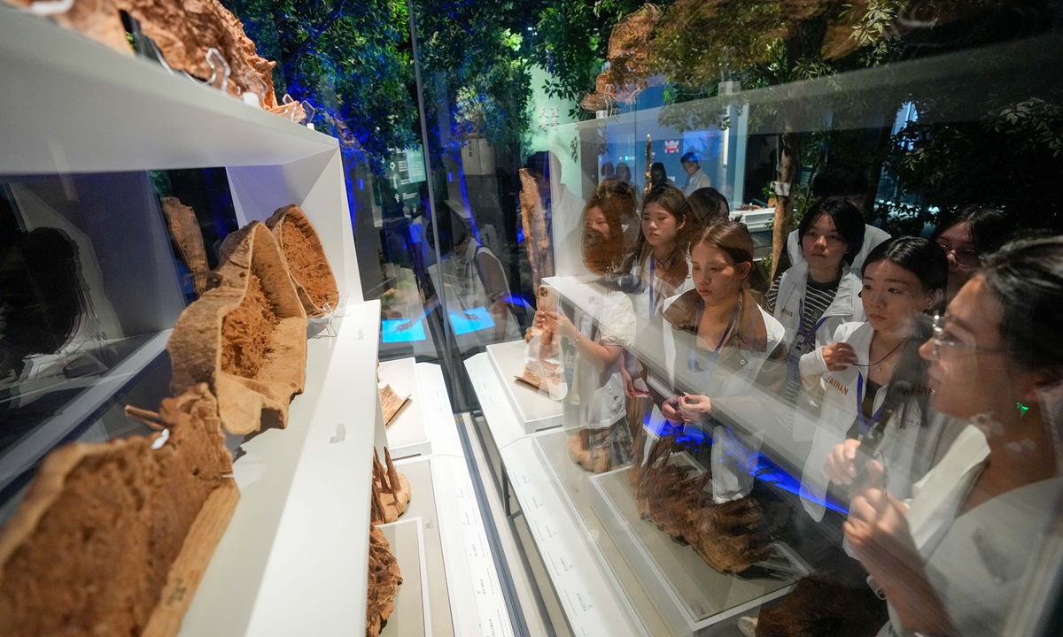 A group of Vietnamese students look at agarwood on display at a museum in Haikou, South China's Hainan Province, on August 18, 2026. Agarwood, better known as chen xiang in China, is known for being fragrant and having medicinal effects in traditional Chinese medicine. It is often used for perfume, incense, and souvenir carvings. Photo: VCG