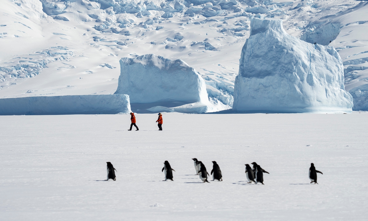 Adelie penguins (Pygoscelis adeliae) on fast ice with tourists walking in the background, Bourgeois Fjord, Marguerite Bay, Antarctica. Photo: VCG