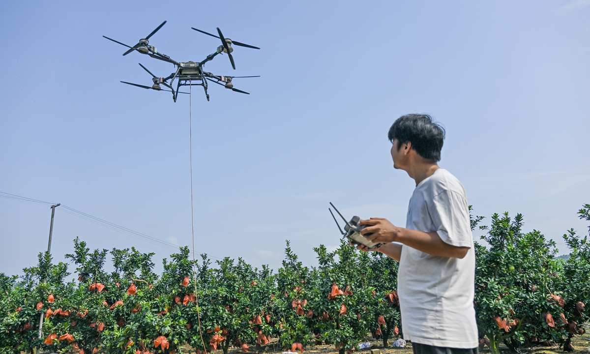 A villager uses a drone to transport freshly harvested pomelos in Nanning, South China's Guangxi Zhuang Autonomous Region, on August 17, 2026. Photo: VCG
