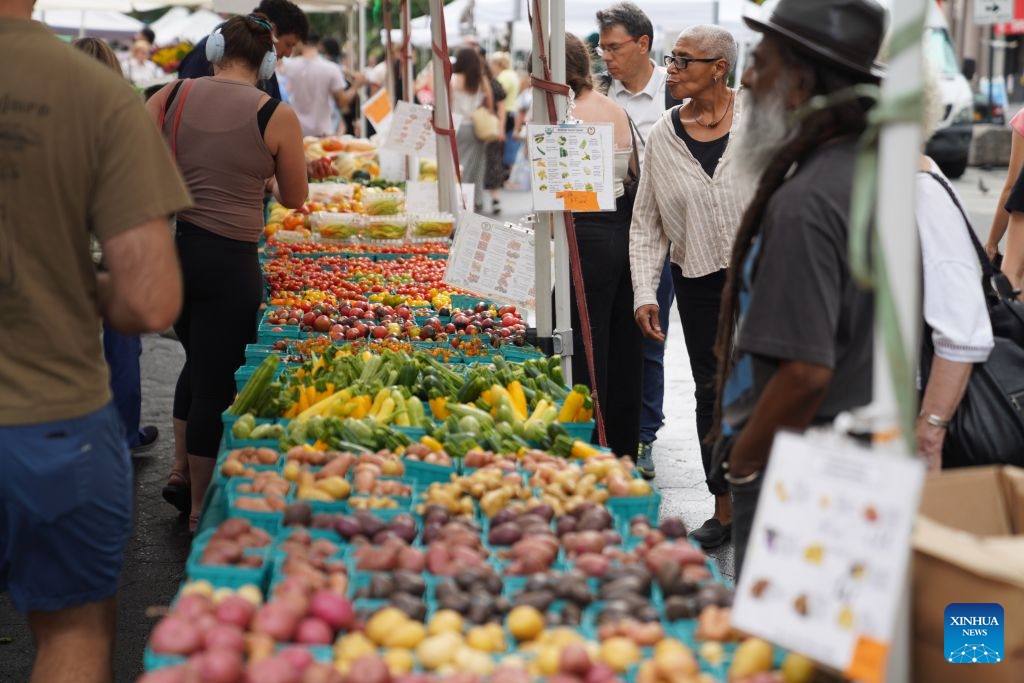 People shop at a farmers market in New York, the United States, on Aug. 21, 2026. (Xinhua/Zhang Fengguo)