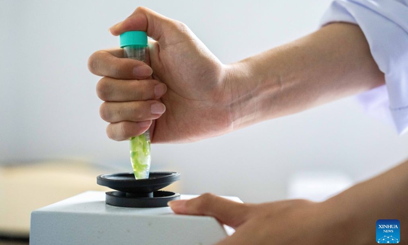 Wang Jin mixes a vegetable sample with a reagent at an agricultural service center in Zhujiapu Town of Hanshou County, Changde City, central China's Hunan Province, Aug. 21, 2026. (Xinhua/Chen Sihan)