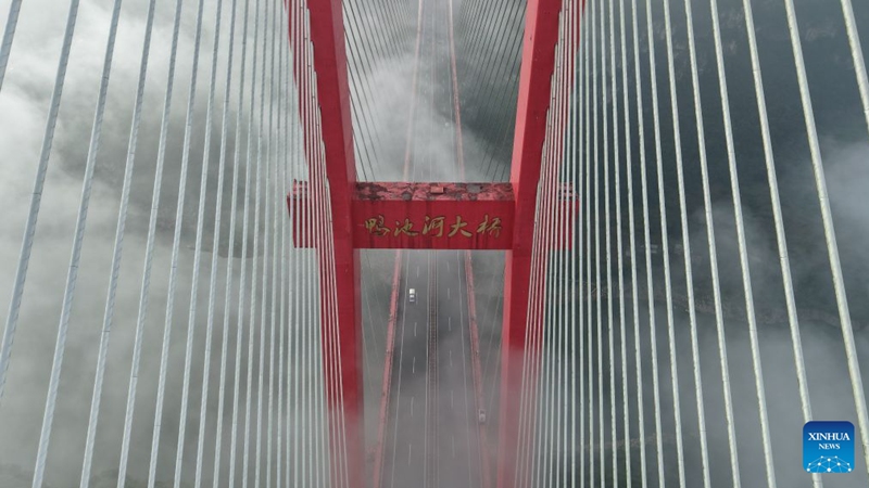 An aerial drone photo taken on Aug. 15, 2026 shows the Yachi River Bridge in the mist in southwest China's Guizhou Province. With a main span of 800 meters and a total length of 1,450 meters, the bridge serves as a key link connecting Bijie City and Guiyang City in southwest China's Guizhou Province. Photo: Xinhua