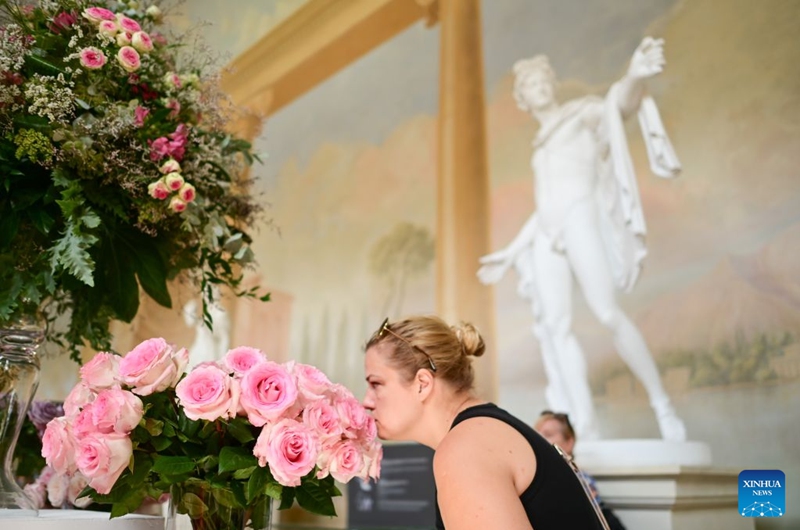 A visitor sniffs roses during the 42nd Royal Rose Exhibition at Royal Lazienki Park in Warsaw, Poland, on Aug. 21, 2026. The ongoing exhibition is held from Aug. 21 to 23 at Royal Lazienki Park, showcasing roses and floral arrangements from around the world. (Photo by Alexey Vitvitsky/Xinhua)