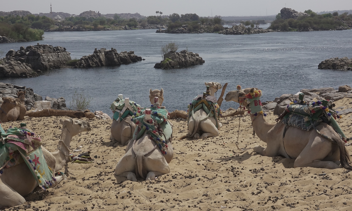 Picture of desert in Aswan, Egypt: VCG