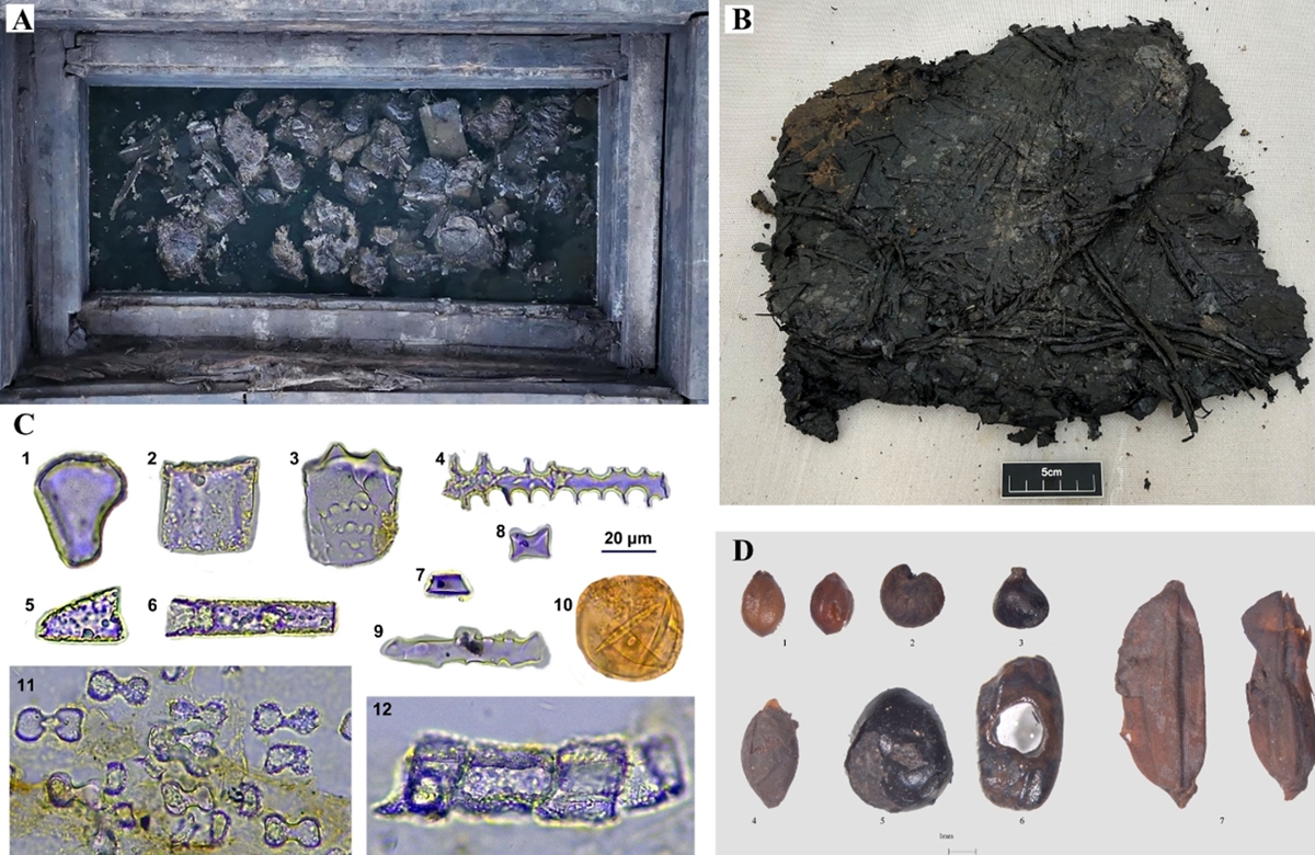 Photo: Courtesy of the Institute of Vertebrate Paleontology and Paleoanthropology