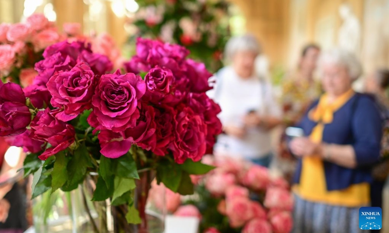 Roses are pictured during the 42nd Royal Rose Exhibition at Royal Lazienki Park in Warsaw, Poland, on Aug. 21, 2026. The exhibition is held from Aug. 21 to 23 at Royal Lazienki Park, showcasing roses and floral arrangements from around the world. (Photo by Alexey Vitvitsky/Xinhua)