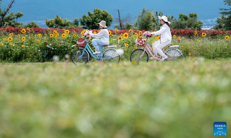 People cycle along the Erhai Lake ecological corridor in Dali, southwest China's Yunnan Province, Aug. 21, 2026. Photo: Xinhua
