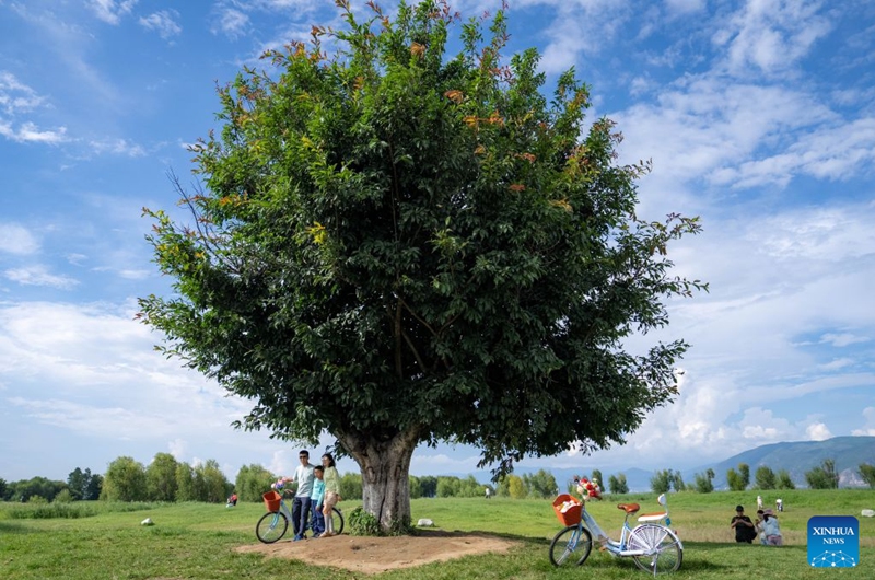 People pose for photos at the Erhai Lake ecological corridor in Dali, southwest China's Yunnan Province, Aug. 21, 2026. Photo: Xinhua
