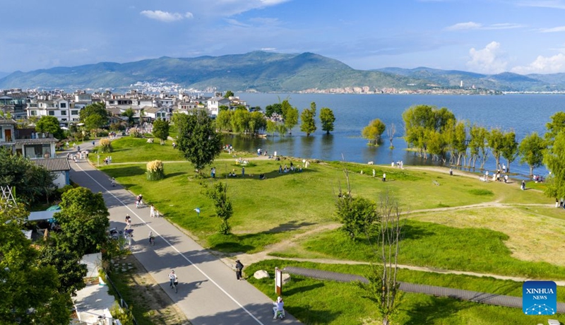 An aerial drone photo shows people visiting the Erhai Lake ecological corridor in Dali, southwest China's Yunnan Province, Aug. 21, 2026. Photo: Xinhua