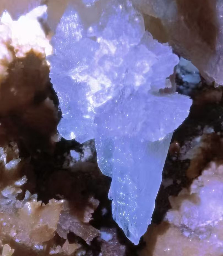 A stalactite inside Shilong Cave Photo: Courtesy of Jiang Jun