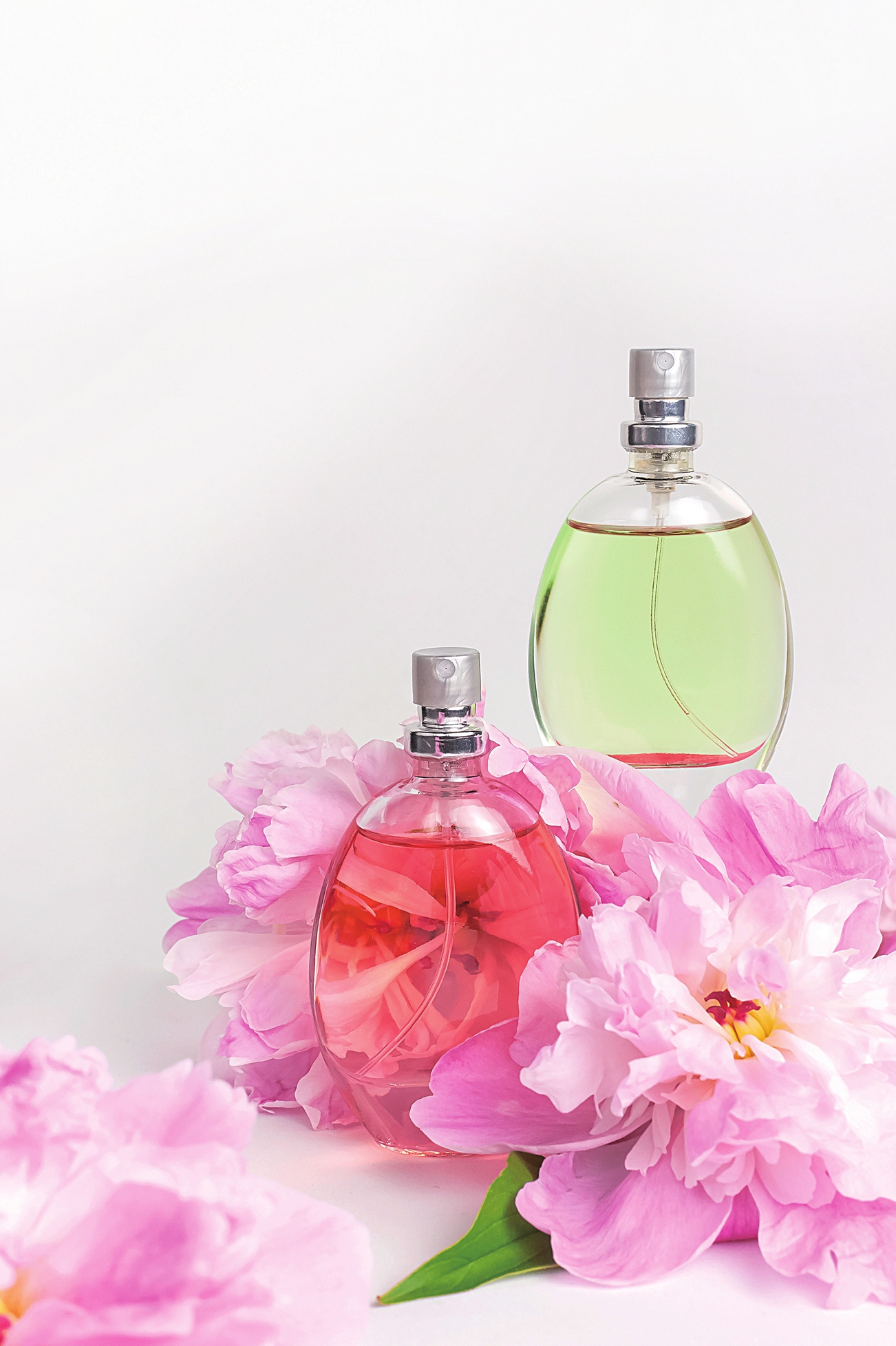 A collection of perfume products