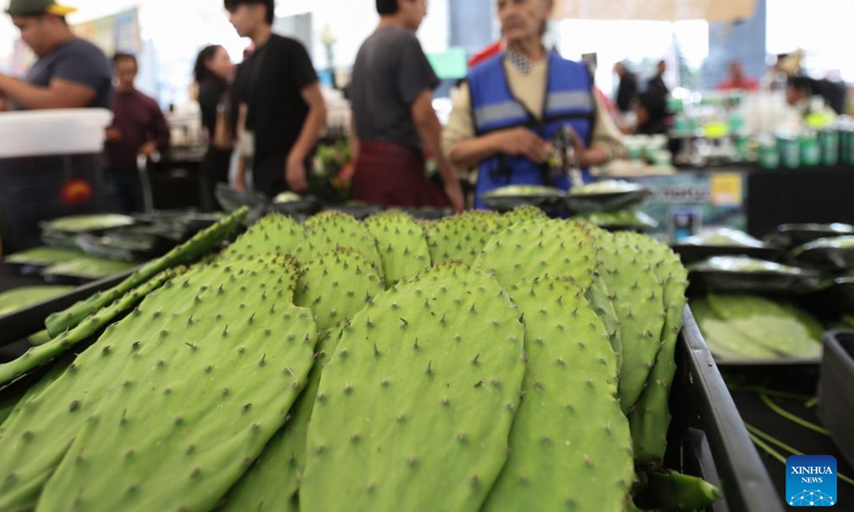 People visit the Nopal Fair 2026 in Mexico City, capital of Mexico, on Aug. 28, 2026. The event opened here on Friday. The three-day event brings together 140 producers to showcase and sell nopal and processed nopal products, as well as cultural and educational activities. (Photo by Francisco Canedo/Xinhua)