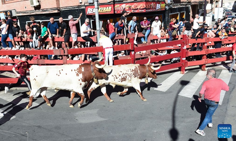 People attend the Bull Run on a street of San Sebastian de los Reyes, Spain, Aug. 29, 2026. Running of the bulls is a traditional event held in many towns and cities across Spain, often as part of local festivals. (Photo by Gustavo Valiente/Xinhua)