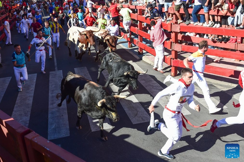 People attend the Bull Run on a street of San Sebastian de los Reyes, Spain, Aug. 29, 2026. Running of the bulls is a traditional event held in many towns and cities across Spain, often as part of local festivals. (Photo by Gustavo Valiente/Xinhua)