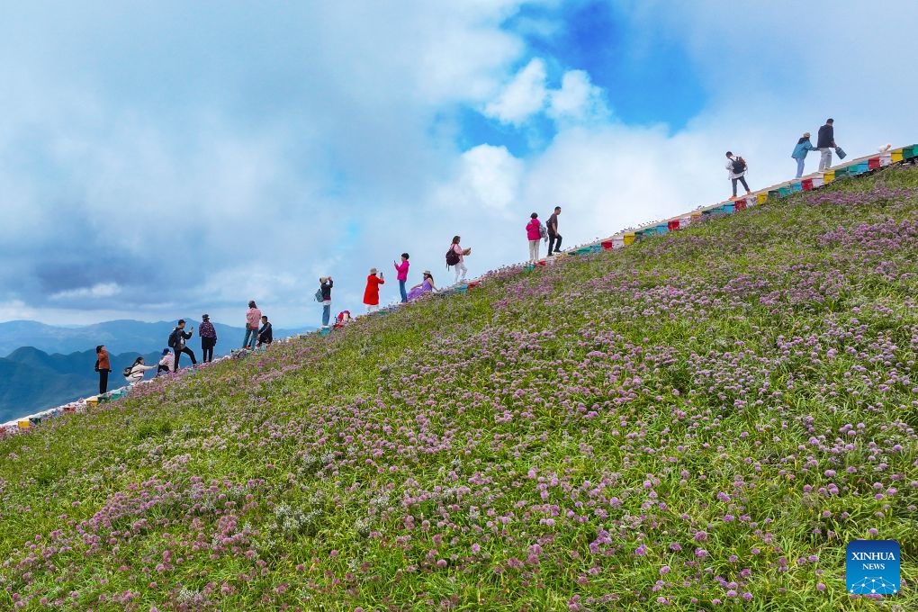 A drone photo taken on Sept. 5, 2026 shows tourists enjoying the view of a flower field at a scenic area in Bijie, southwest China's Guizhou Province. (Photo: Xinhua)