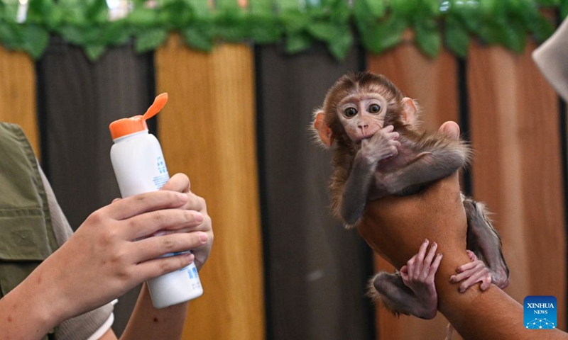 A man holds a pet monkey during Indonesia International Pet Expo (IIPE) 2026 in Tangerang, Banten province, Indonesia, Sept. 5, 2026. The IIPE is a leading platform in Indonesia for pet-related products and services, drawing pet lovers and industry professionals. (Photo: Xinhua)
