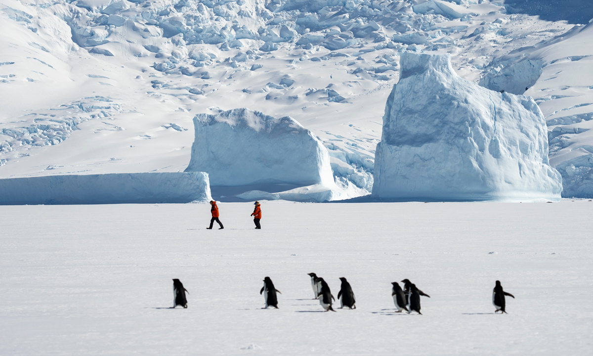 Adelie penguins (Pygoscelis adeliae) stand on sea ice as tourists walk in the background in Bourgeois Fjord, Marguerite Bay, Antarctica. File Photo: VCG
