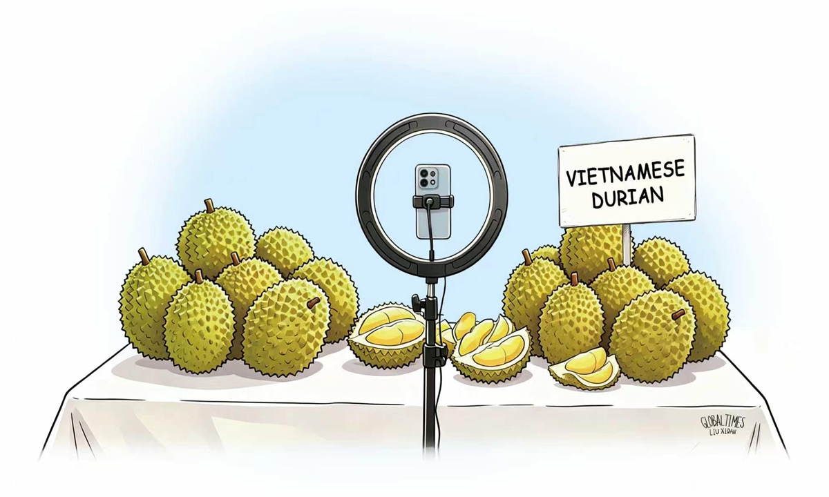 Vietnamese Durian Illustration: Liu Xidan/GT