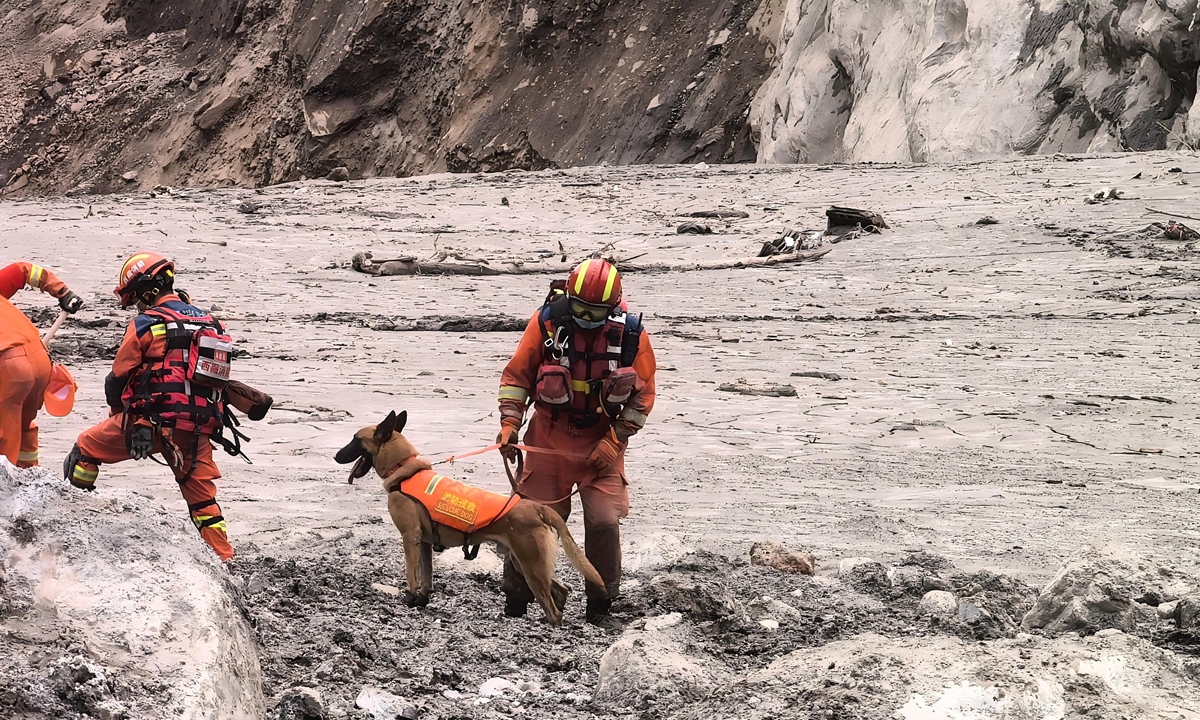 Rescue team members with a search dog carry out rescue operations, looking for any sign of life. Photo: Courtesy of China's national comprehensive fire and rescue teams
