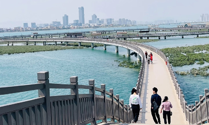 Tourists walk on a pathway in Xiatanwei Mangrove Park. Photo: Sun Langchen/GT
