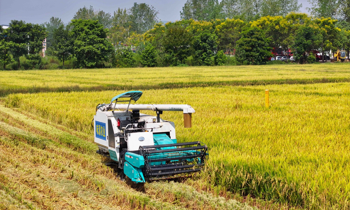 An autonomous harvester gathers rice in a paddy field in Liangping district, Southwest China's Chongqing Municipality, on September 7, 2026. Official data showed that as of the end of 2025, China's overall mechanization rate for crop cultivation and harvesting had reached 76.7 percent, while wheat, corn and rice had basically achieved full-process mechanization. Photo: cnsphoto