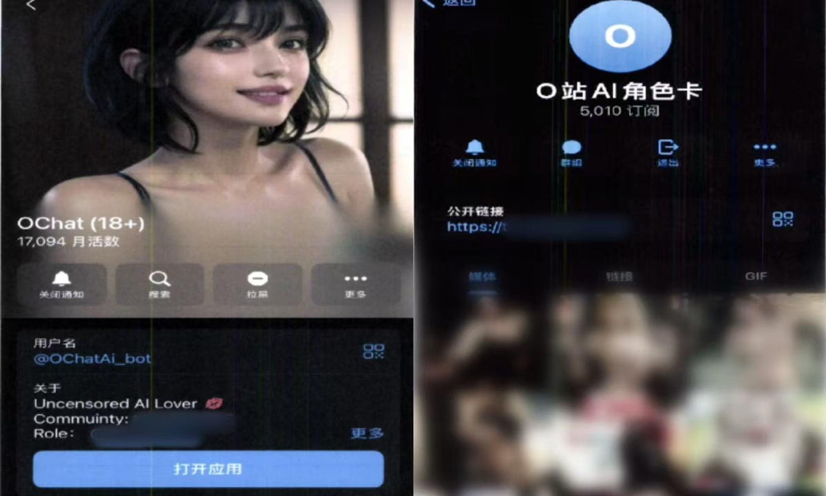 The user interface of the AI software involved in the case against Zheng and five others for producing obscene materials. Photo: CCTV News