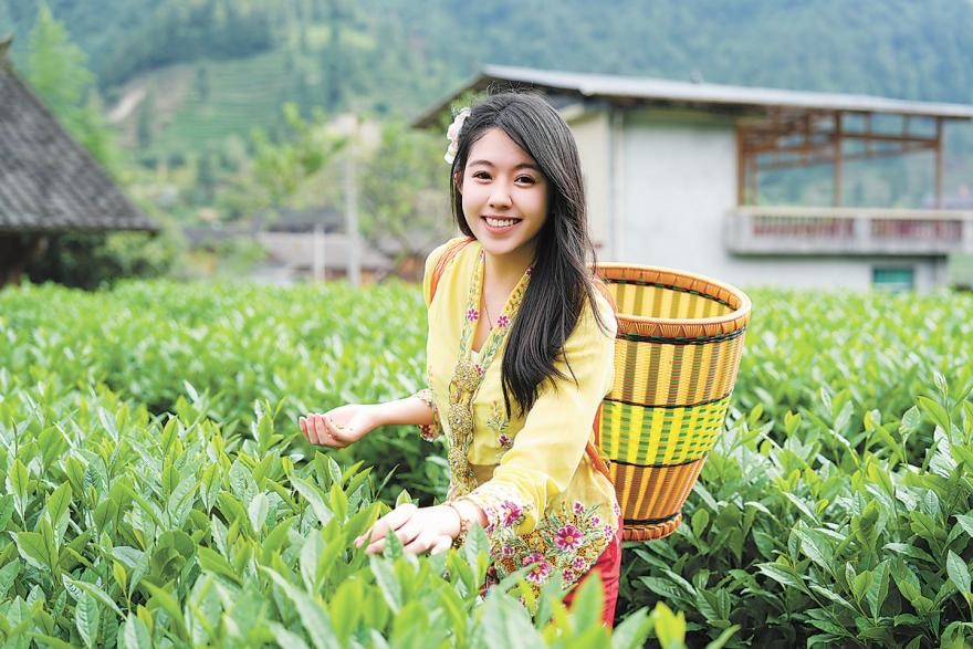 Samviontha (Wong Pek Hwa) Wong picks tea leaves. (Photo/He Xueyuan)