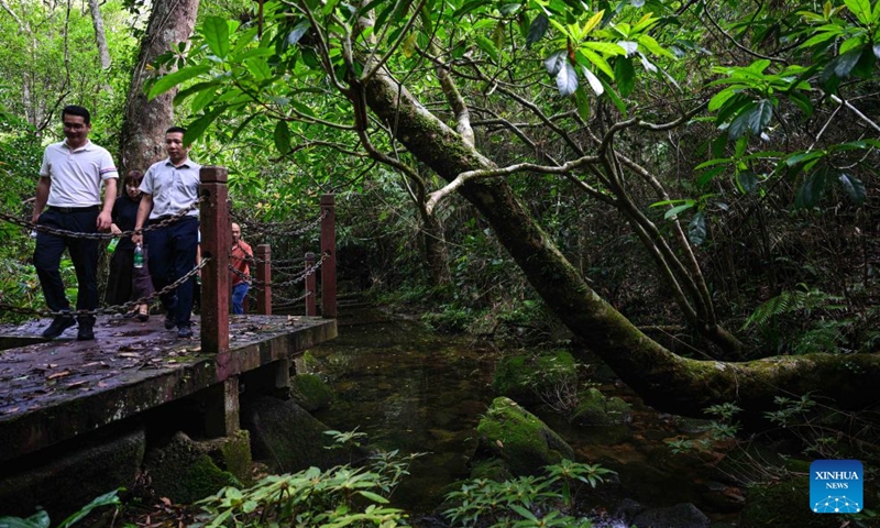 Tourists enjoy themselves at the Diaoluoshan section of the Hainan Tropical Rainforest National Park in south China's Hainan Province, Sept. 9, 2026. The scenic ring road surrounding the Hainan Tropical Rainforest National Park passes through nine cities and counties in Hainan, including Lingshui, Baoting, Ledong and Changjiang, with a total length of 466 kilometers. The ring road was officially opened to traffic in December 2024.
This road connects the beautiful scenery of the mountainous areas in the central and southern parts of Hainan Island and builds a green corridor that balances ecological protection and cultural tourism development.
At present, many tourists come to cycle and drive on the road, boosting tourism-related consumption including accommodation, catering, specialty agricultural products, and outdoor culture and tourism along the road. Photo: Xinhua