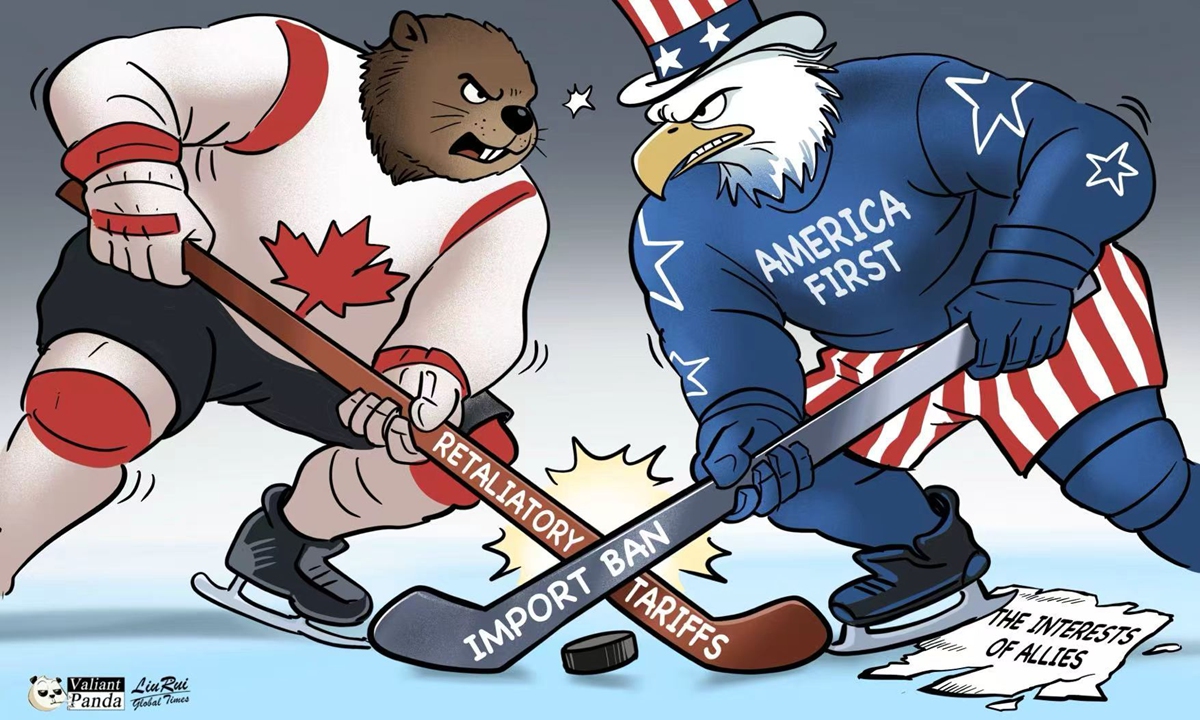 Canada-US trade feud Illustration: Liu Rui/GT