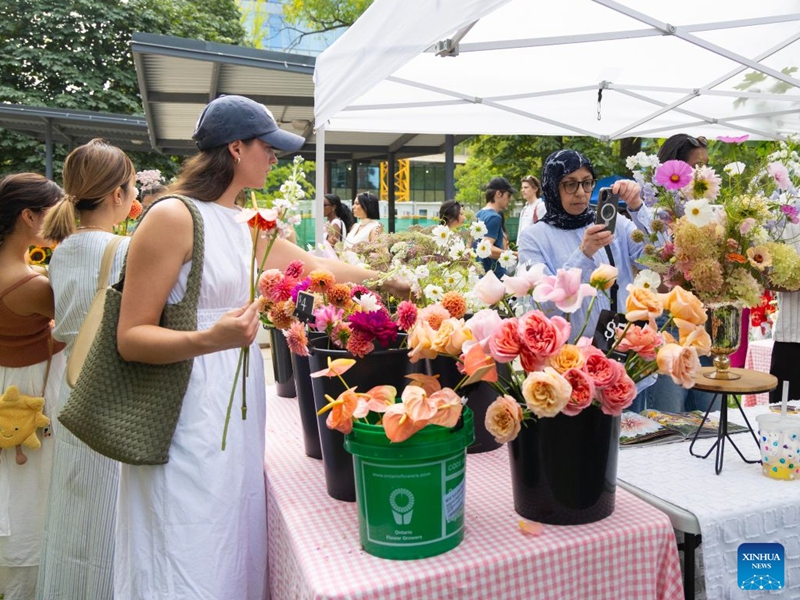People visit the Toronto Flower Market in Toronto, Canada, on Sept. 12, 2026. The traditional monthly flower market runs here from May through October, for one day each month. (Photo by Zou Zheng/Xinhua)