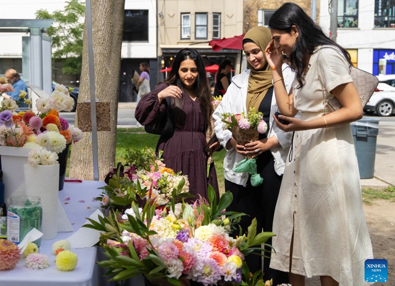 People visit the Toronto Flower Market in Toronto, Canada, on Sept. 12, 2026. The traditional monthly flower market runs here from May through October, for one day each month. (Photo by Zou Zheng/Xinhua)